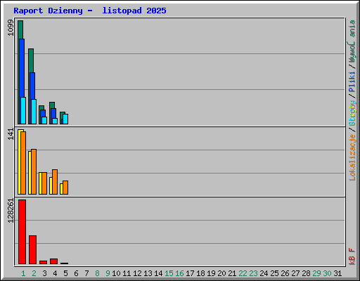 Raport Dzienny -  listopad 2025