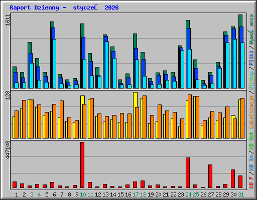 Raport Dzienny -  styczeń 2026