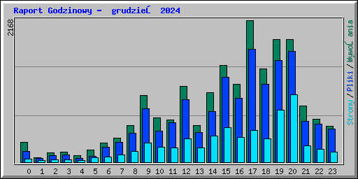 Raport Godzinowy -  grudzień 2024