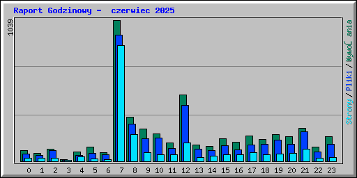 Raport Godzinowy -  czerwiec 2025