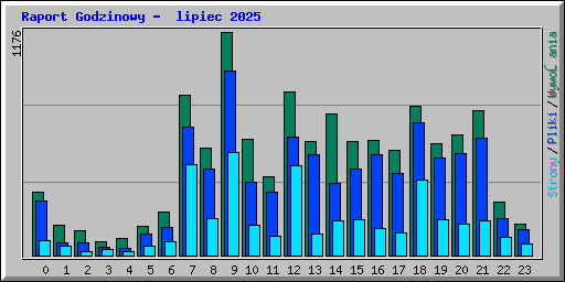Raport Godzinowy -  lipiec 2025