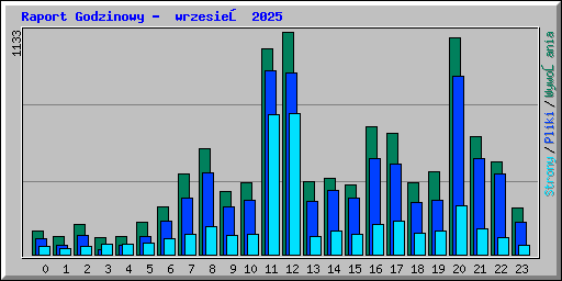 Raport Godzinowy -  wrzesień 2025