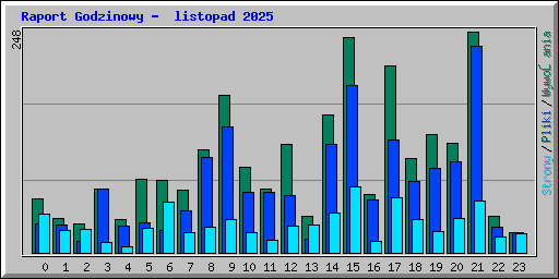 Raport Godzinowy -  listopad 2025