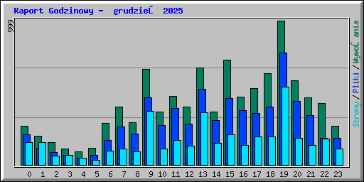 Raport Godzinowy -  grudzień 2025