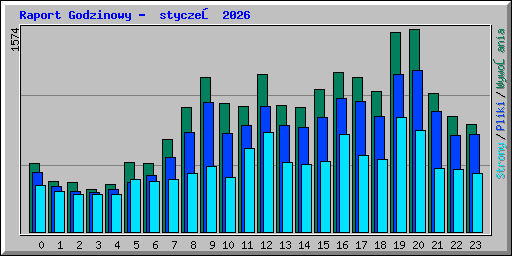 Raport Godzinowy -  styczeń 2026