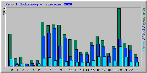 Raport Godzinowy -  czerwiec 2026