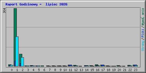 Raport Godzinowy -  lipiec 2026